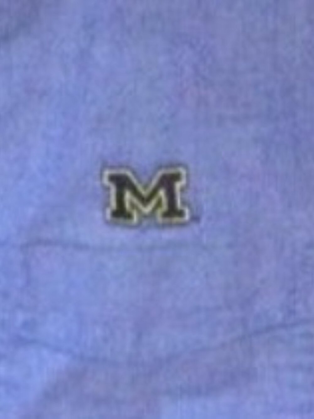 University of Michigan Lands' End Men's Blue Oxford Shirt 16